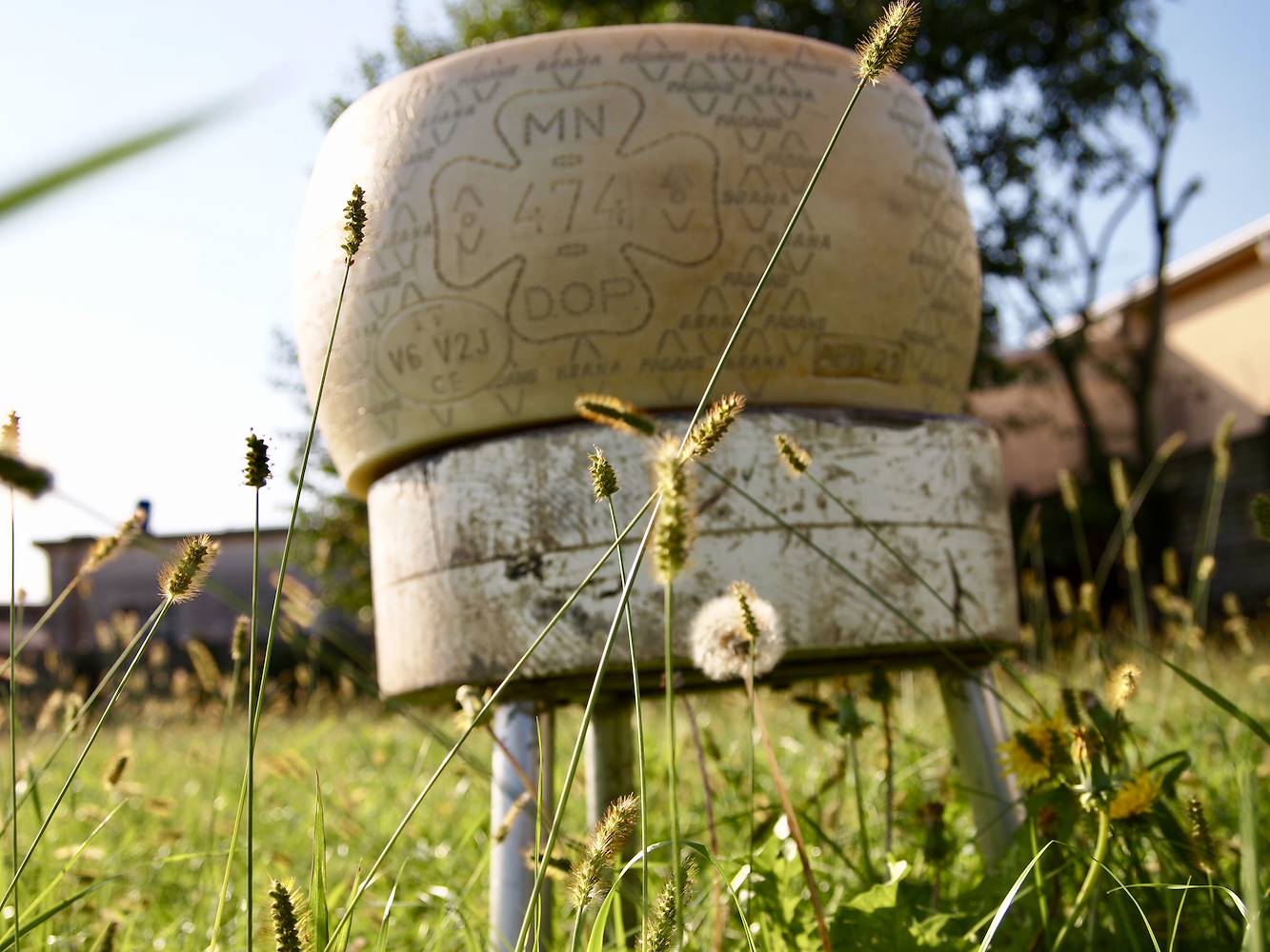 “Si custodisce solo quello che è prezioso”
