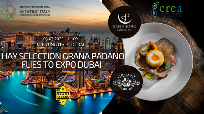 Hay selection Grana Padano flies to Expo Dubai