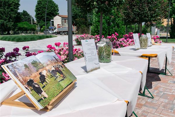 Sfoglia la galleria dell'evento: