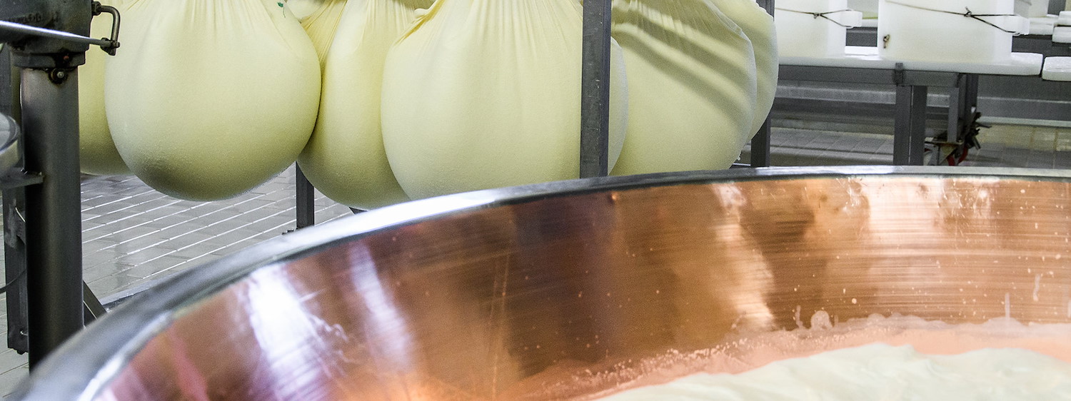 Latteria San Pietro custodisce la Sostenibilità