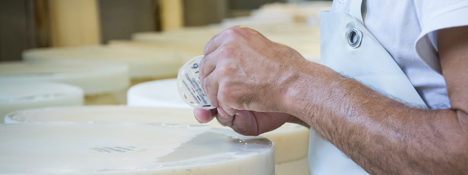 Latteria San Pietro custodisce la Qualità