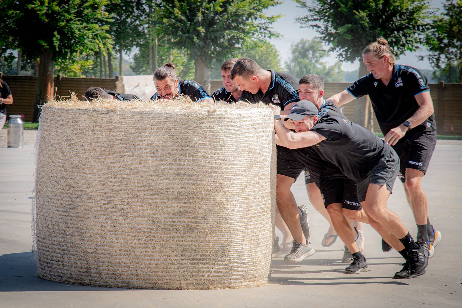 Anche le Zebre mangiano il Grana Padano!
