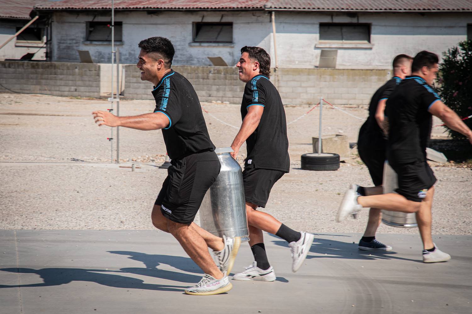 Anche le Zebre mangiano il Grana Padano!