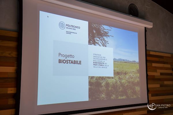 Biostabile: i Prati Stabili per un allevamento di qualità