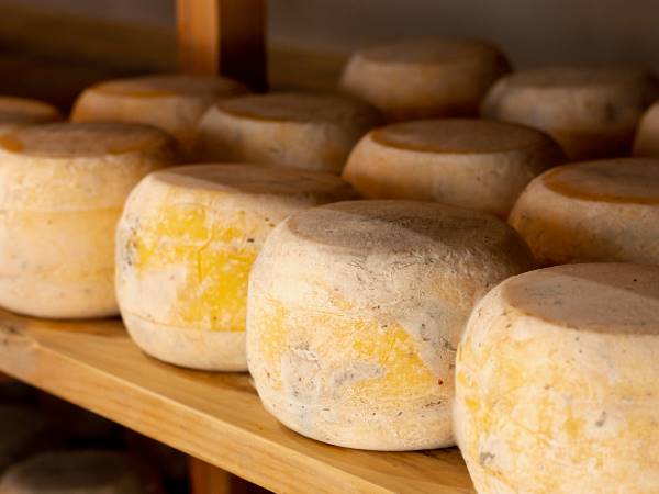 Latteria San Pietro su "Il Sole 24 Ore" - I formaggi Dop valorizzano le produzioni di montagna (e i consumi crescono)