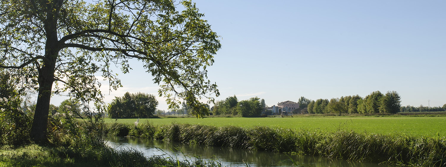 Latteria San Pietro custodisce i Prati Stabili