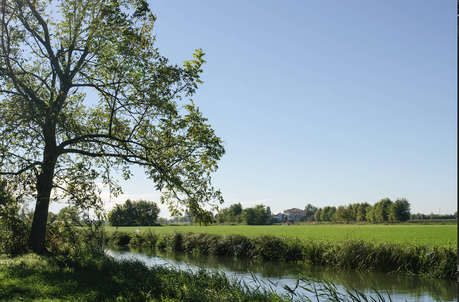 What are permanent meadows?