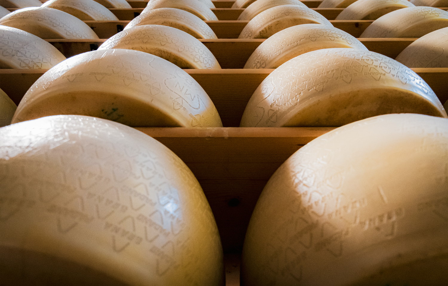 Grana Padano over 12 months