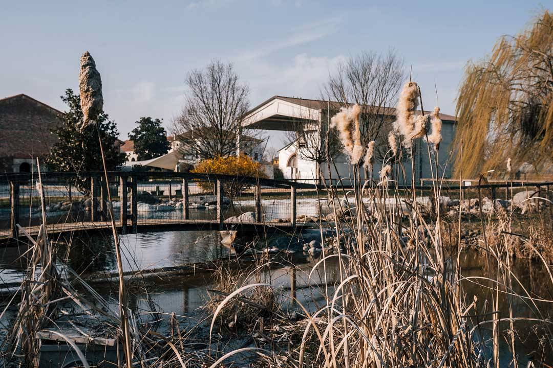 Riso Carnaroli - Corte Facchina Piccola