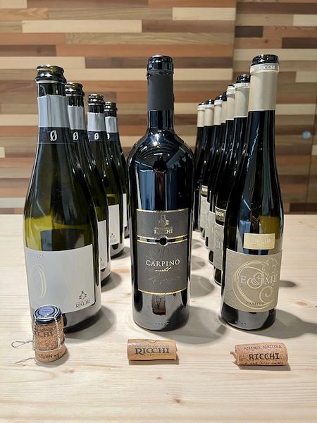 Cheese & Wine in San Pietro Academy