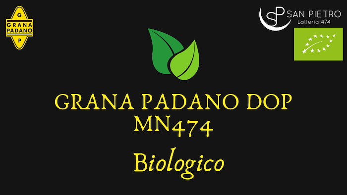 Grana Padano biologico, vendita grana padano bio lombardia, produzione formaggio biologici, Grana Padano DOP Biologico