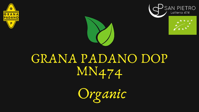 organic Grana Padano, organic grana padano sale lombardy, ORGANIC Grana Padano PDO CHEESE