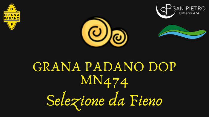 produzione grana padano da fieno, specialità formaggi italiani, caseificio grana padano lombardia, Grana Padano DOP selezione da fieno