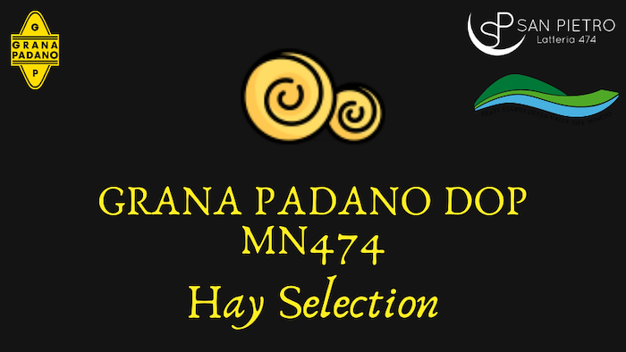 Grana Padano PDO CHEESE "hay Selection"