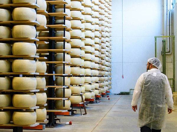 Il Grana Padano che conquista Israele