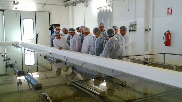 Israeli chefs visiting Latteria San Pietro