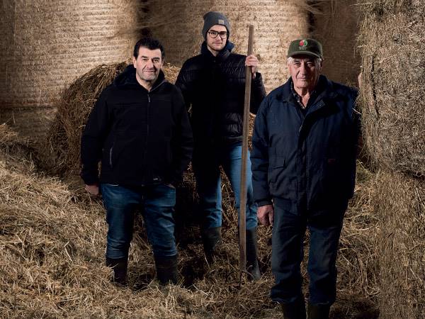 La prima stalla del Grana Padano a convertirsi al robot di mungitura