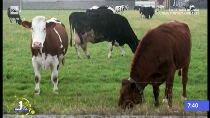 Latteria San Pietro a Unomattina 05.4.18