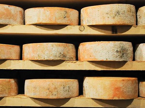 Latteria San Pietro su "Il Sole 14 Ore" - I formaggi Dop valorizzano le produzioni di montagna (e i consumi crescono)