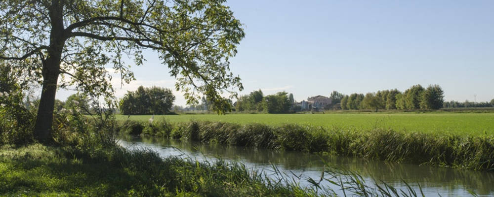 prati stabili permanenti, Valle del Mincio Mantova, alimentazione animale biologica, Il nostro territorio