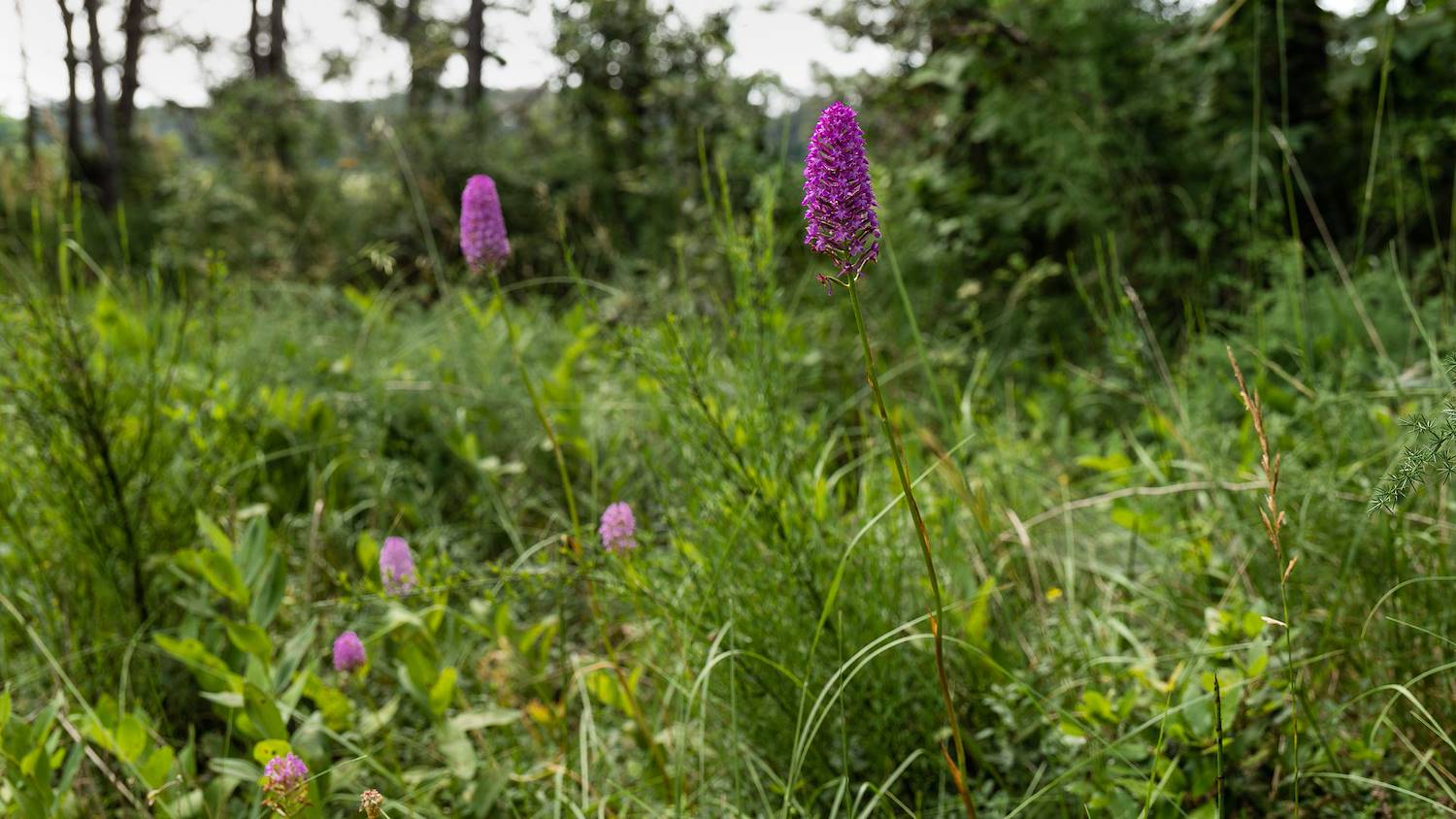 PRATI STABILI E LA SALVAGUARDIA DELLA FALDA ACQUIFERA