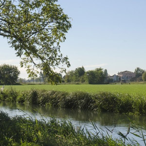 Agricoltura sostenibile