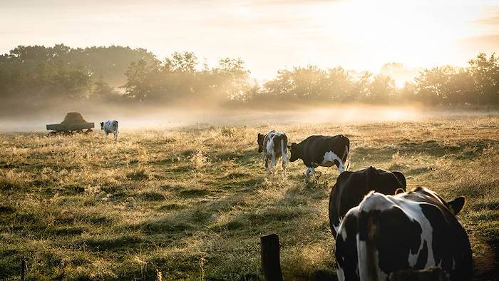 San Pietro & Biodiversità