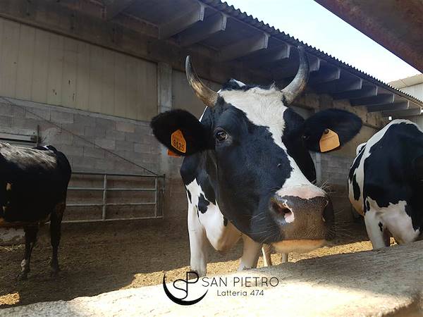 Visita dell'Università di Bologna